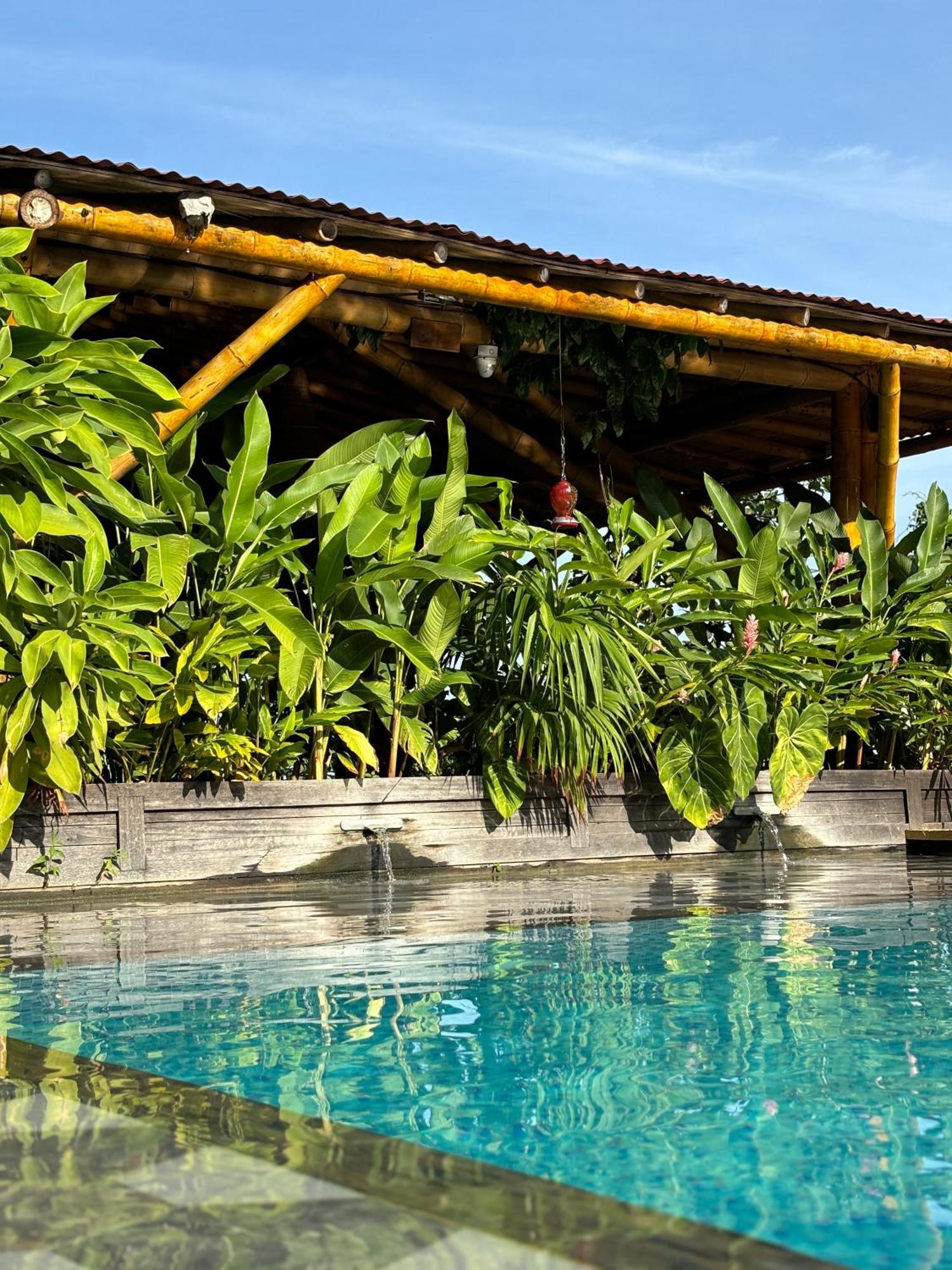La Veranda Hotel & Restaurant Minca Exterior photo
